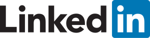 LinkedIn logo, 2013