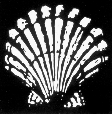 Shell logo, 1904