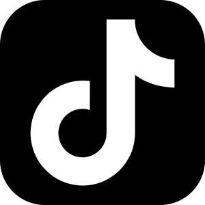 TikTok logo, 2016